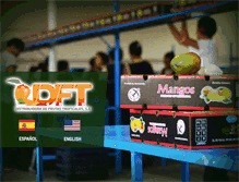 Tablet Screenshot of dftmangos.com